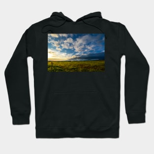 Aint no house on the Prairie Hoodie